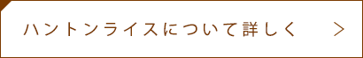 ハントンライスについて詳しく