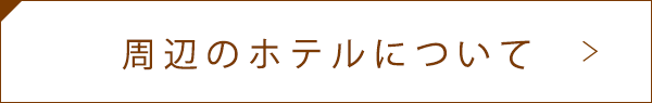 周辺のホテルについて