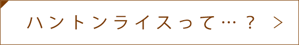 ハントンライスって…？