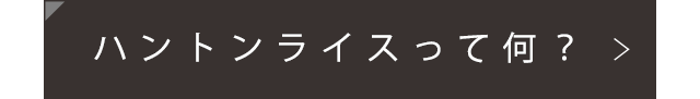 ハントンライスって何？